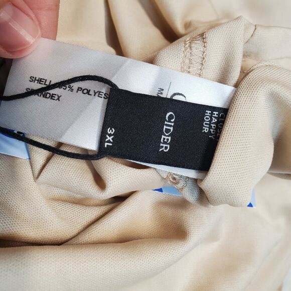 NWT Cider Beige Velvet Sequin Flowers Romantic Spring Strapless Mini Dress 3XL - Picture 15 of 16